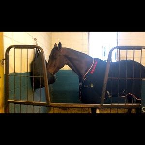 Horseware Rambo Stable Sheet 78